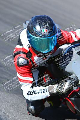 media/Jan-14-2024-SoCal Trackdays (Sun) [[2e55ec21a6]]/Turn 12 Inside (945am)/